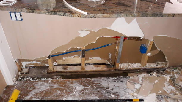 Best Water damage restoration near me  in Millersville, TN