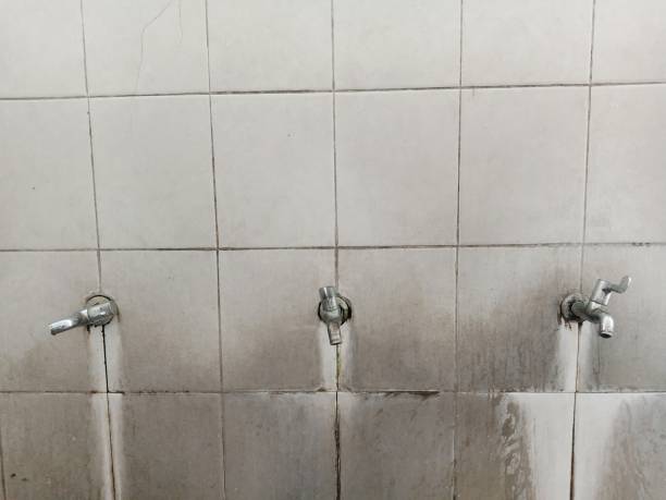 Best Sewage cleanup and water damage restoration  in Millersville, TN