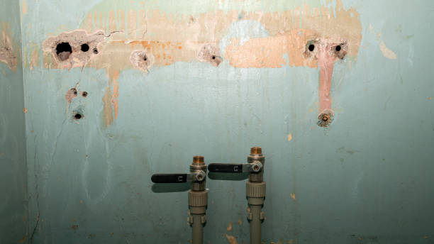 Water damage restoration mold remediation in TN