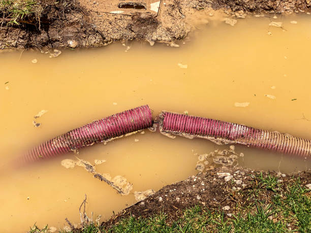 Best Water damage restoration services  in Millersville, TN