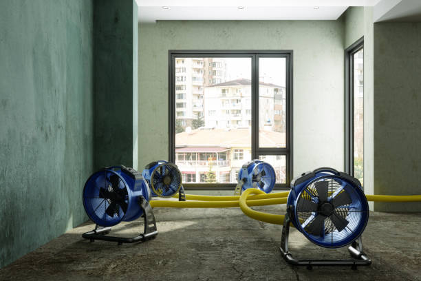 Best Residential water damage restoration  in Millersville, TN