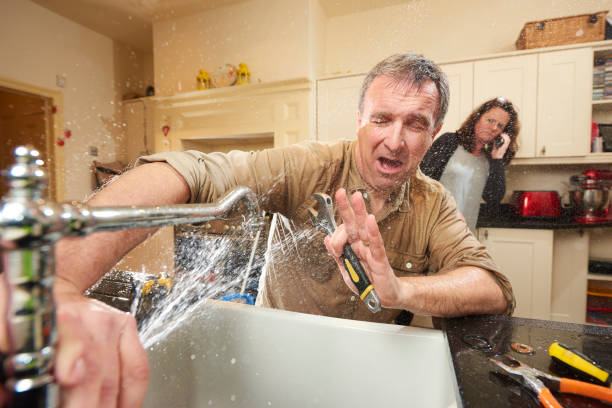 Best Flooded house restoration  in Millersville, TN